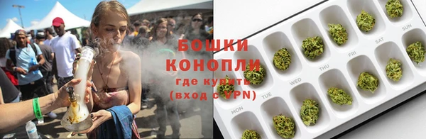 ГАЛЛЮЦИНОГЕННЫЕ ГРИБЫ Беломорск